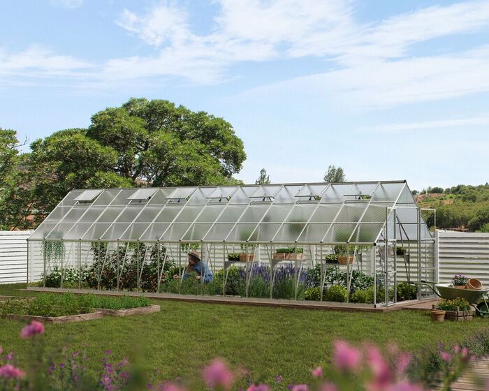 Växthus Balance 28,7 m² Silver Canopia by Palram